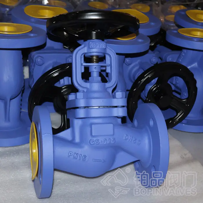 Bellows Sealed Globe Valve Suppliers.jpg