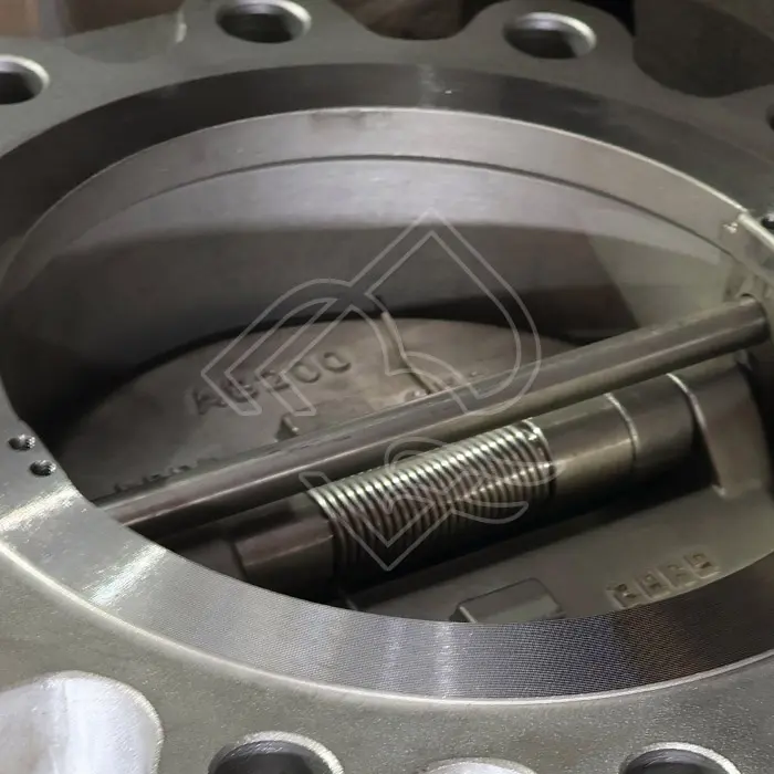 API 594 LUGGED DUO PLATE CHECK VALVE.jpg