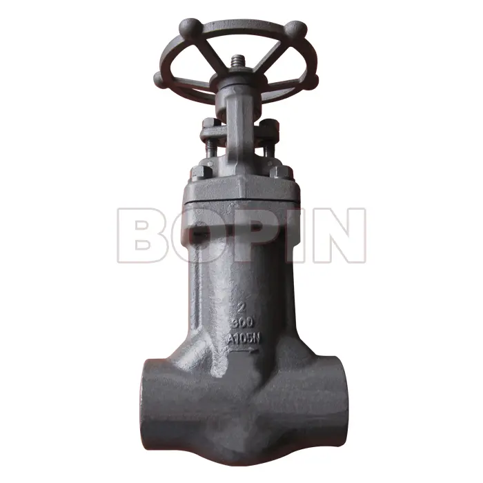 API FORGED STEEL A105N BELLOWS SEALED GLOBE VALVE.jpg