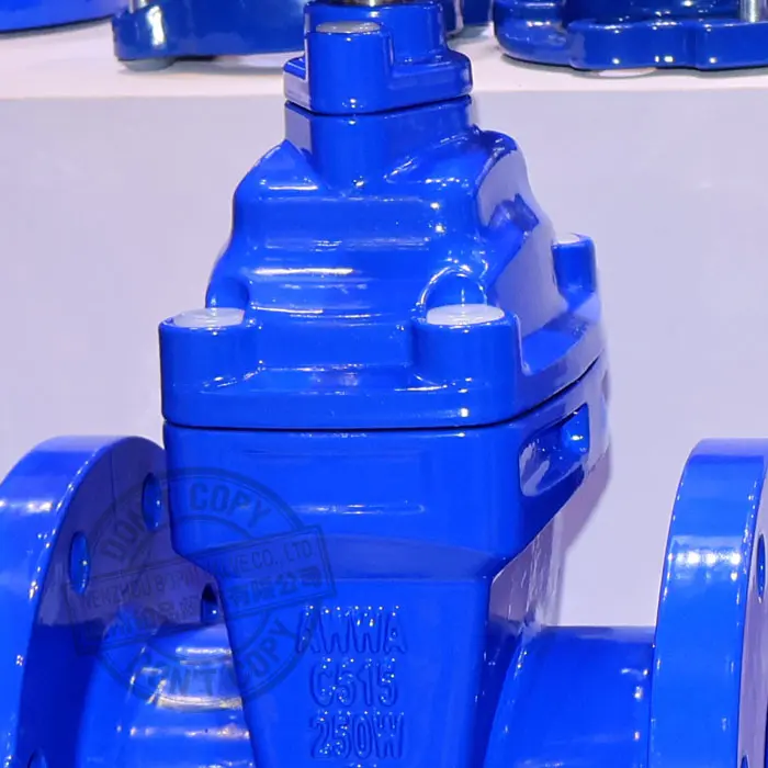 ANHUI AWWA C515 FLANGE TYPE DI RESILIENT SEATED GATE VALVE.jpg