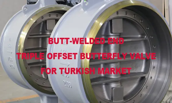 New Order of Butt-Welded End Triple Offset Butterfly Valves Shipped to Turkish Market