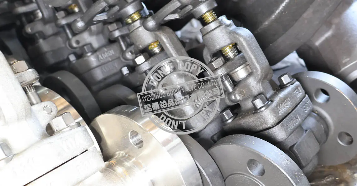 compact steel globe valve.jpg
