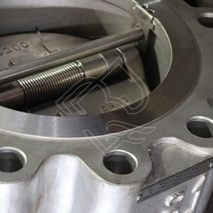 lugged type double disc check valve.jpg