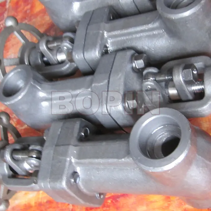 Forged Steel Bellows Globe Valve.jpg