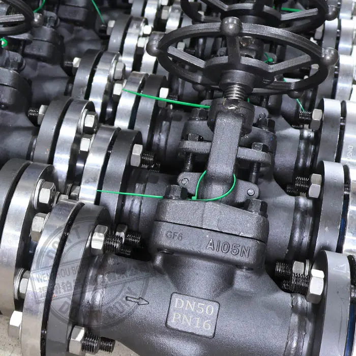 FLANGED FORGED STEEL GLOBE VALVE.jpg