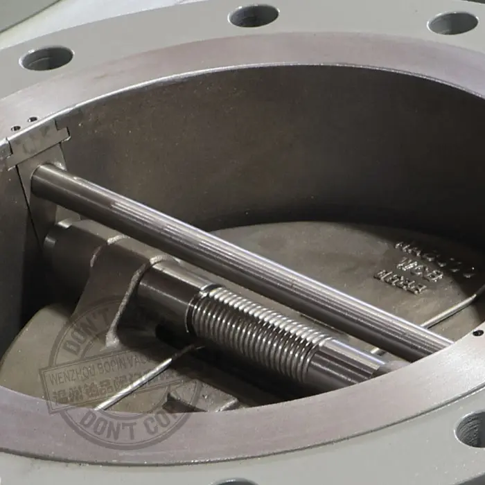 Flange End Dual Plate Check Valve.jpg