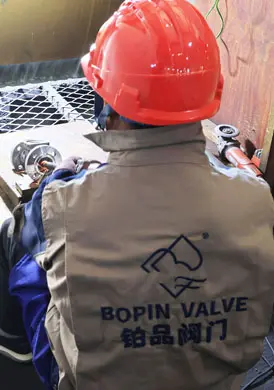 ac6528a9-7550-484a-9698-5f70e98b5a43