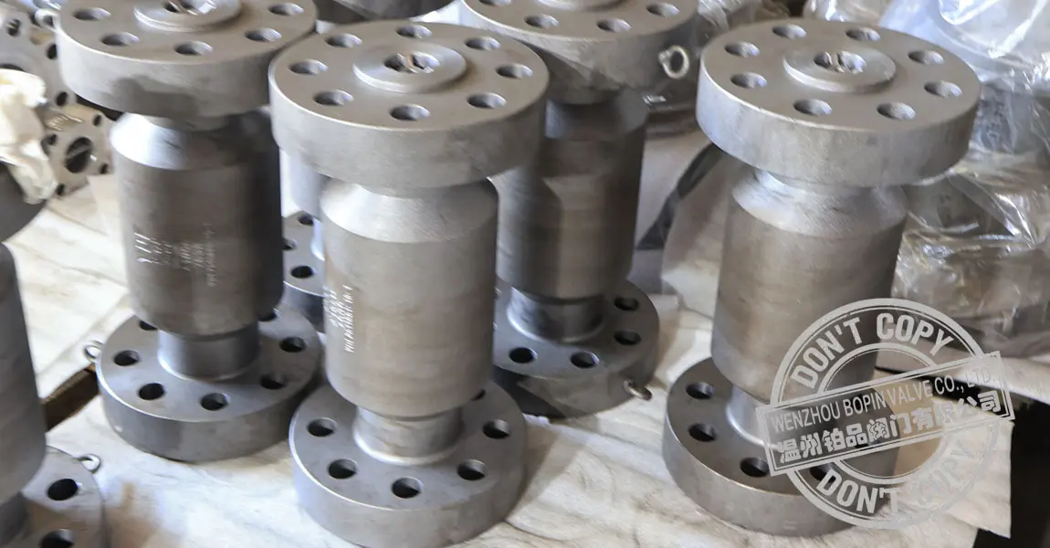 Axial Flow Check Valve.jpg