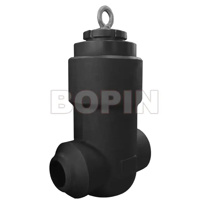 PRESSURE SEALED FORGED STEEL CHECK VALVE.jpg