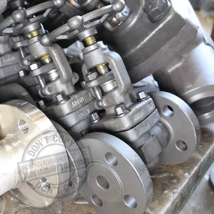 compact steel globe valve.jpg