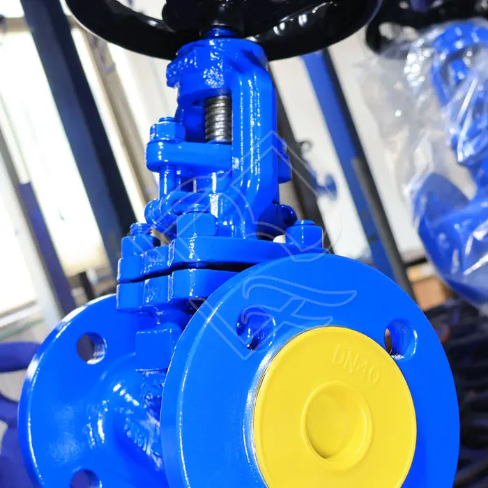 SDNR GLOBE CHECK VALVE.jpg