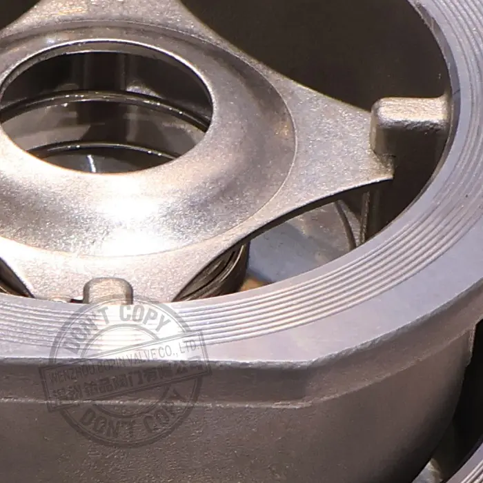 DIN DISCO CHECK VALVE MANUFACTURER.jpg
