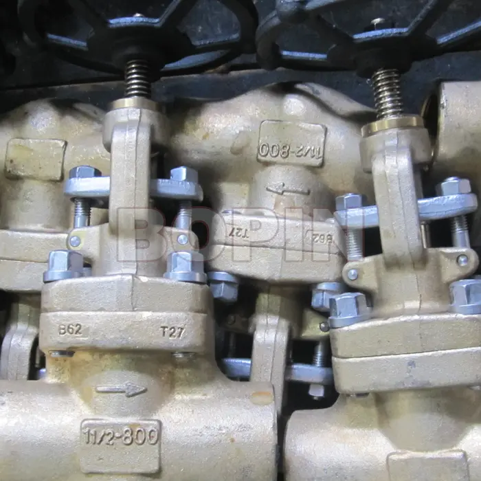 B62 FORGED GLOBE VALVE.jpg