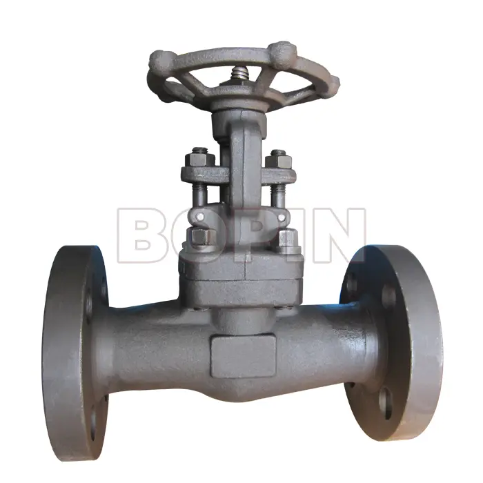 API 602 FLANGED FORGED STEEL GATE VALVE.jpg