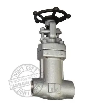 Forged Steel A182 F304 Bellows Sealed Gate Valve Manufacturer