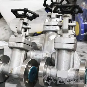 Forged Steel Bellows Sealed Gate Valve Manufacturer