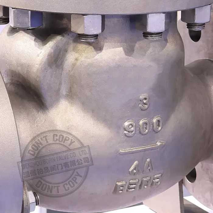 Duplex Stainless Steel Check Valve.jpg