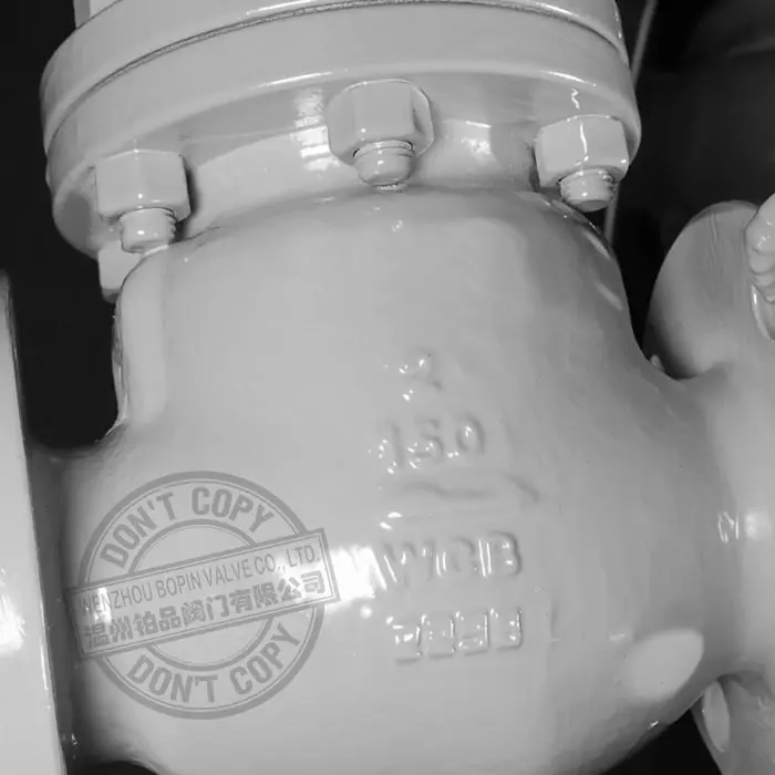 SWING TYPE CHECK VALVE.jpg
