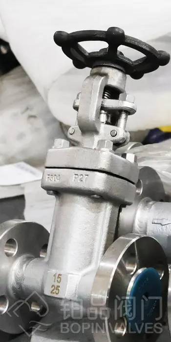 Flange End Forged Stainless Steel