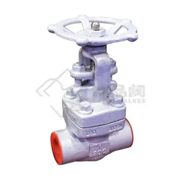 API 602 COMPACT STEEL GATE VALVE