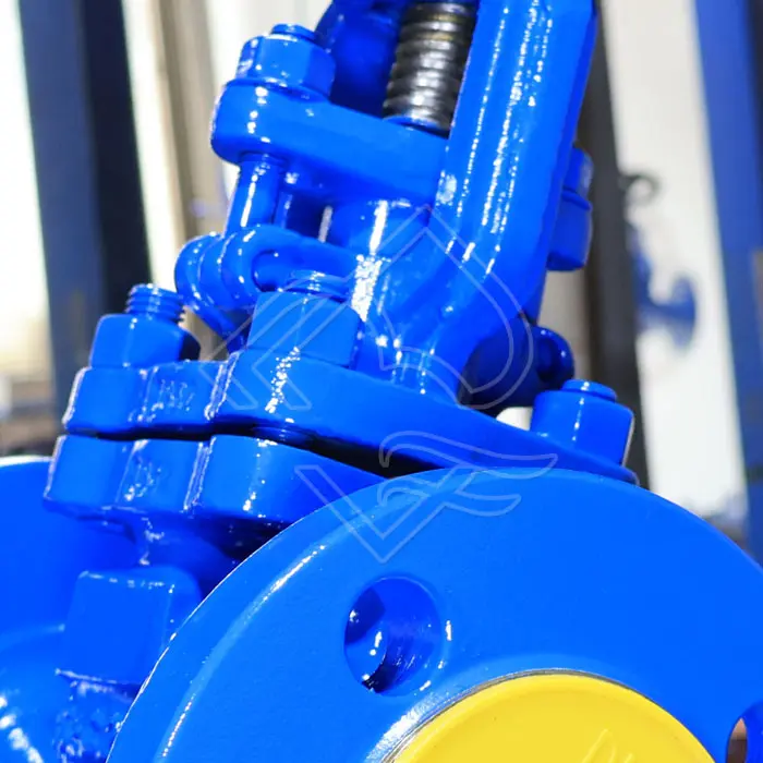 CAST STEEL SPRING LOADED GLOBE CHECK VALVE.jpg