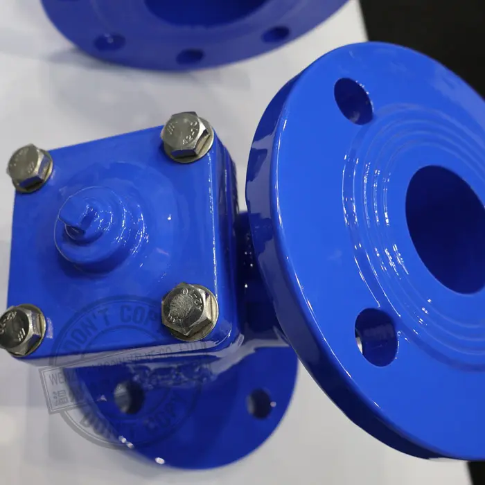 DIN Ductile Iron GGG50 Y Type Strainer.jpg