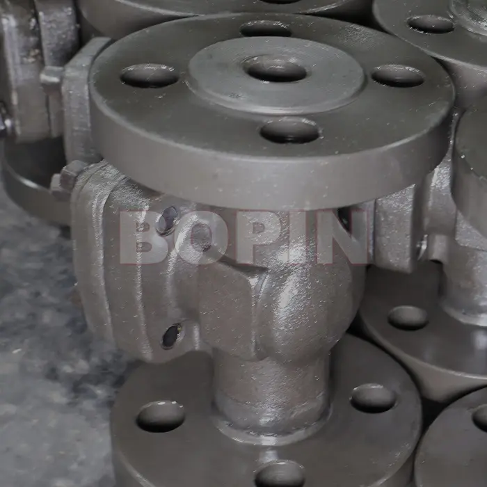 forged steel check valve.jpg