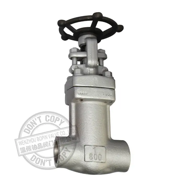 BELLOWS SEALED GATE VALVE.jpg