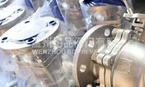 Getting Excellent Feedback About The Order of JIS Standard Stainless Steel Flanged Ball Valves Shipped to Vietnam