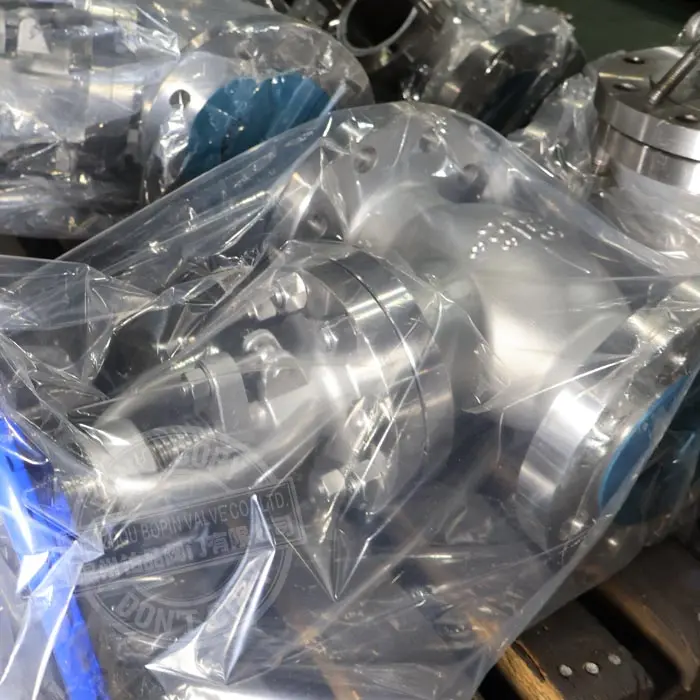 A351 CF3M SS GLOBE VALVE.jpg