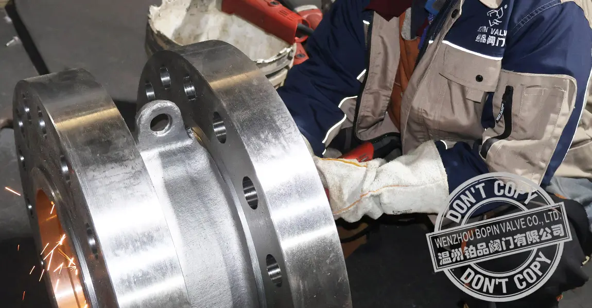 BOPIN DUAL PLATE CHECK VALVE.jpg