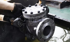 A Discussion on API 600 Check Valves