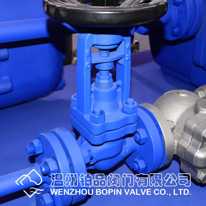 DIN BELLOWS SEALED GLOBE VALVE MANUFACTURER.jpg