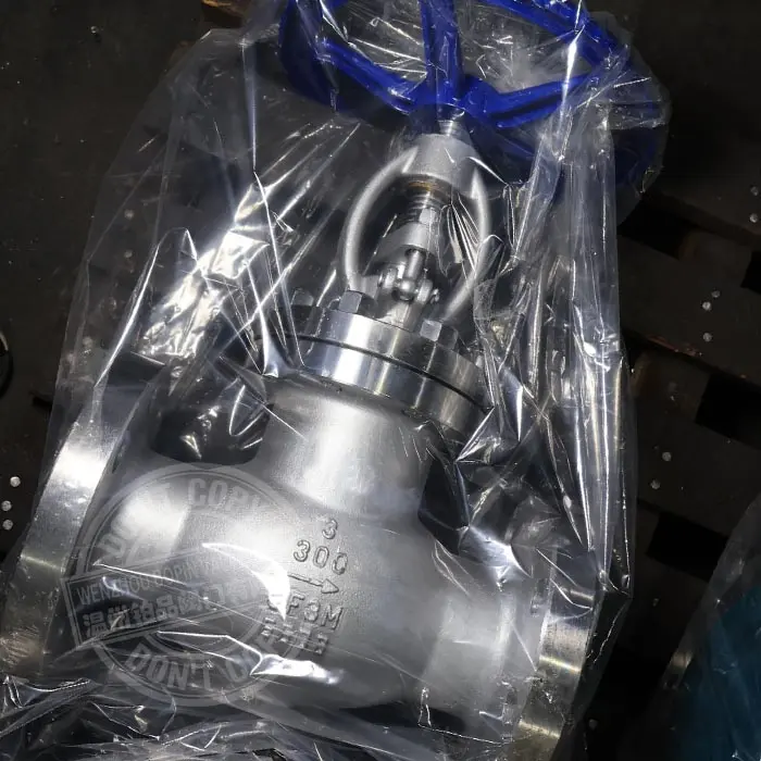 FLANGE END CF3M STAINLESS STEEL GLOBE VALVE.jpg