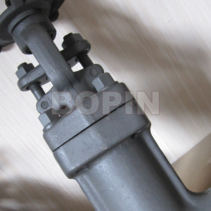 Compact Steel Forged Steel Bellows Globe Valve.jpg