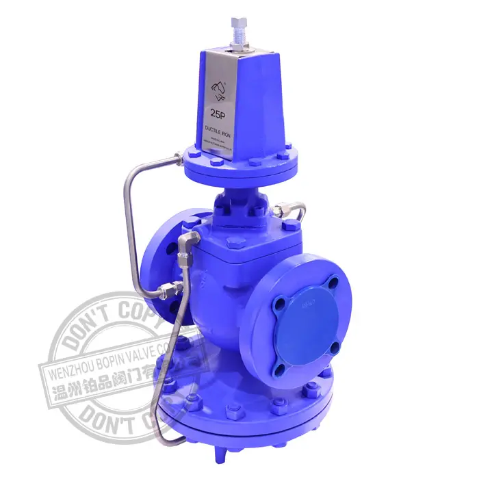 P25 Ductile Iron Self-Actuated Pilot-Operated Steam Pressure Reducing Valve.jpg