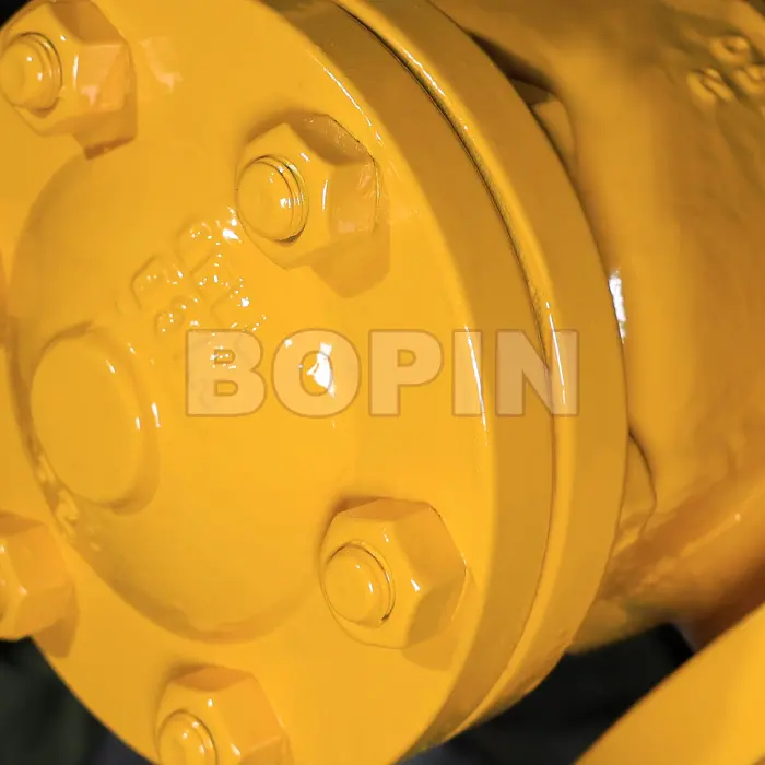 CAST STEEL CHECK VALVE.jpg