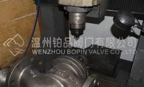 BOPIN Provides OEM Service of Carving Brand Names on Valve Body for Customers