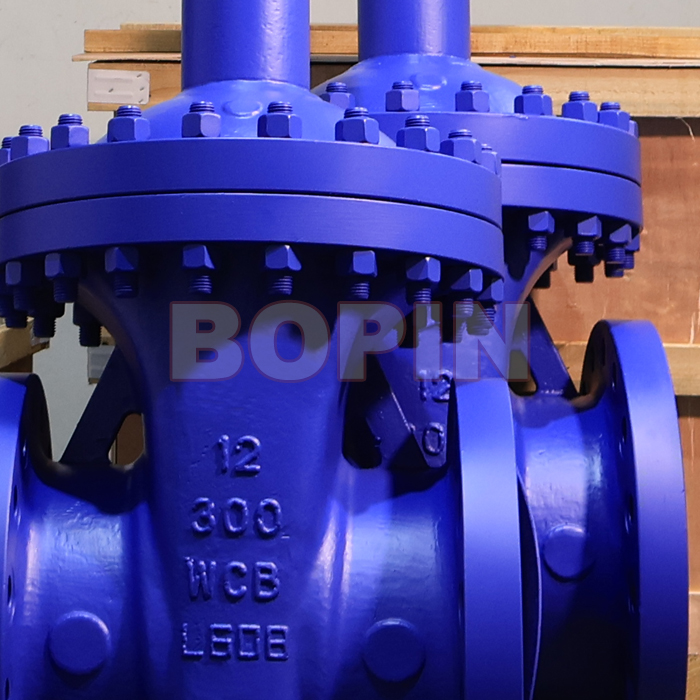BELLOWS SEALED GATE VALVE.jpg
