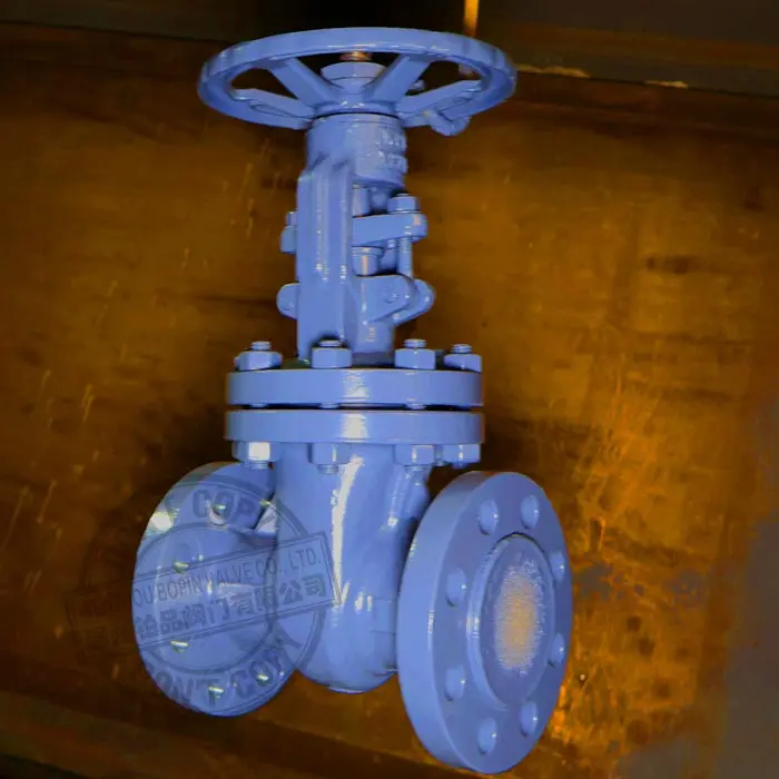 cast steel gate valve manufacturer.jpg