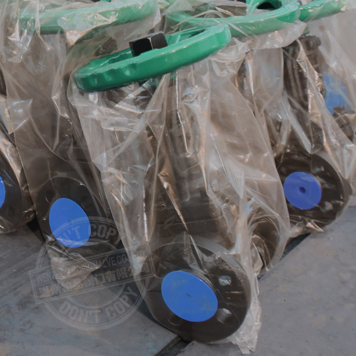 bellows seal globe valve.jpg