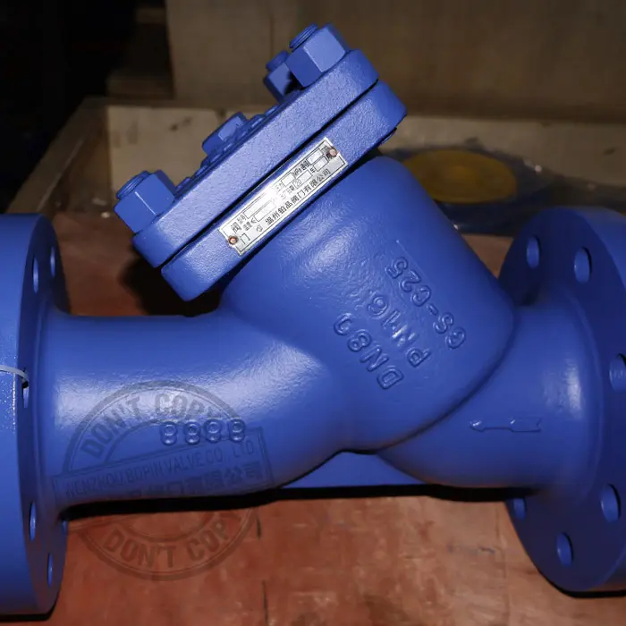 Y strainer.jpg
