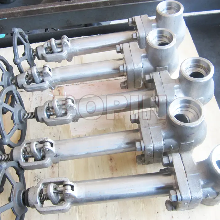CRYOGENIC FORGED STEEL GLOBE VALVE.jpg