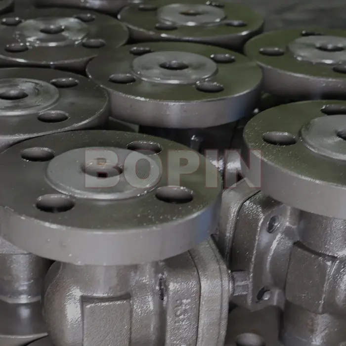 Flanged Forged Steel Check Valve.jpg