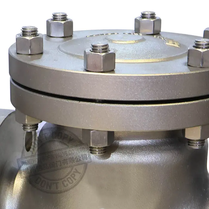 CHECK VALVE.jpg