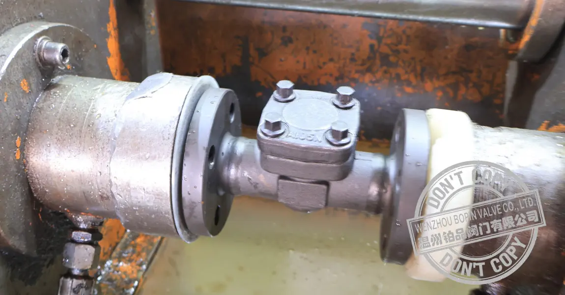FORGED STEEL CHECK VALVE.jpg