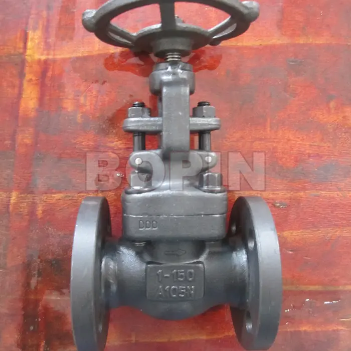 flanged A105N Forged steel globe valve.jpg