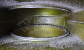 Continues to Supply API 600 Gate Valves with Genuine Replaceable Seat Design