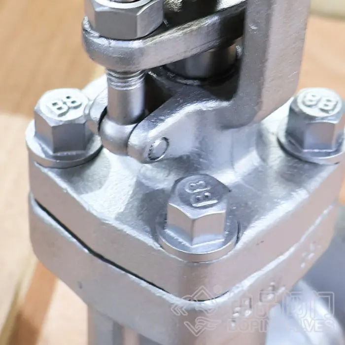 Forged Steel Gate Valve with Bellows.jpg