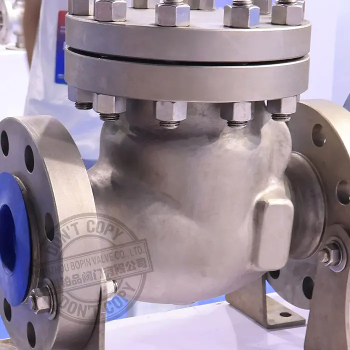 Duplex Stainless Steel 4A Non-return Valve.jpg